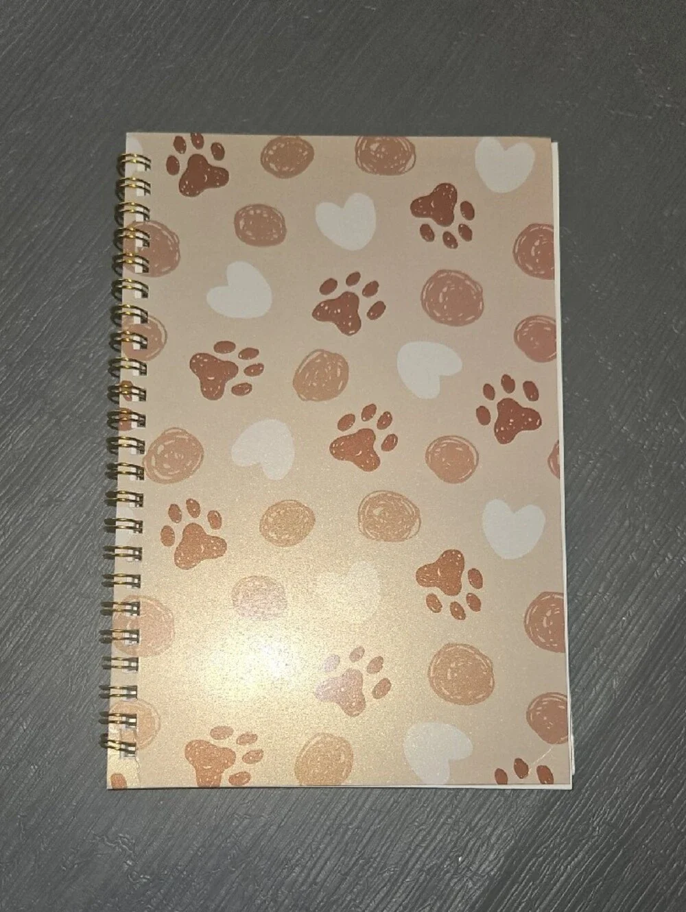 Spiral Notebooks 8